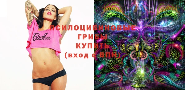 прущий лед Богородск