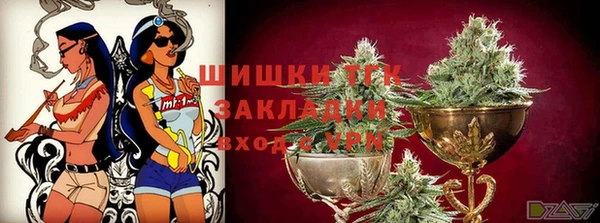 шишки Богданович