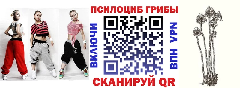 где найти наркотики Норильск Галлюциногенные грибы ЛСД